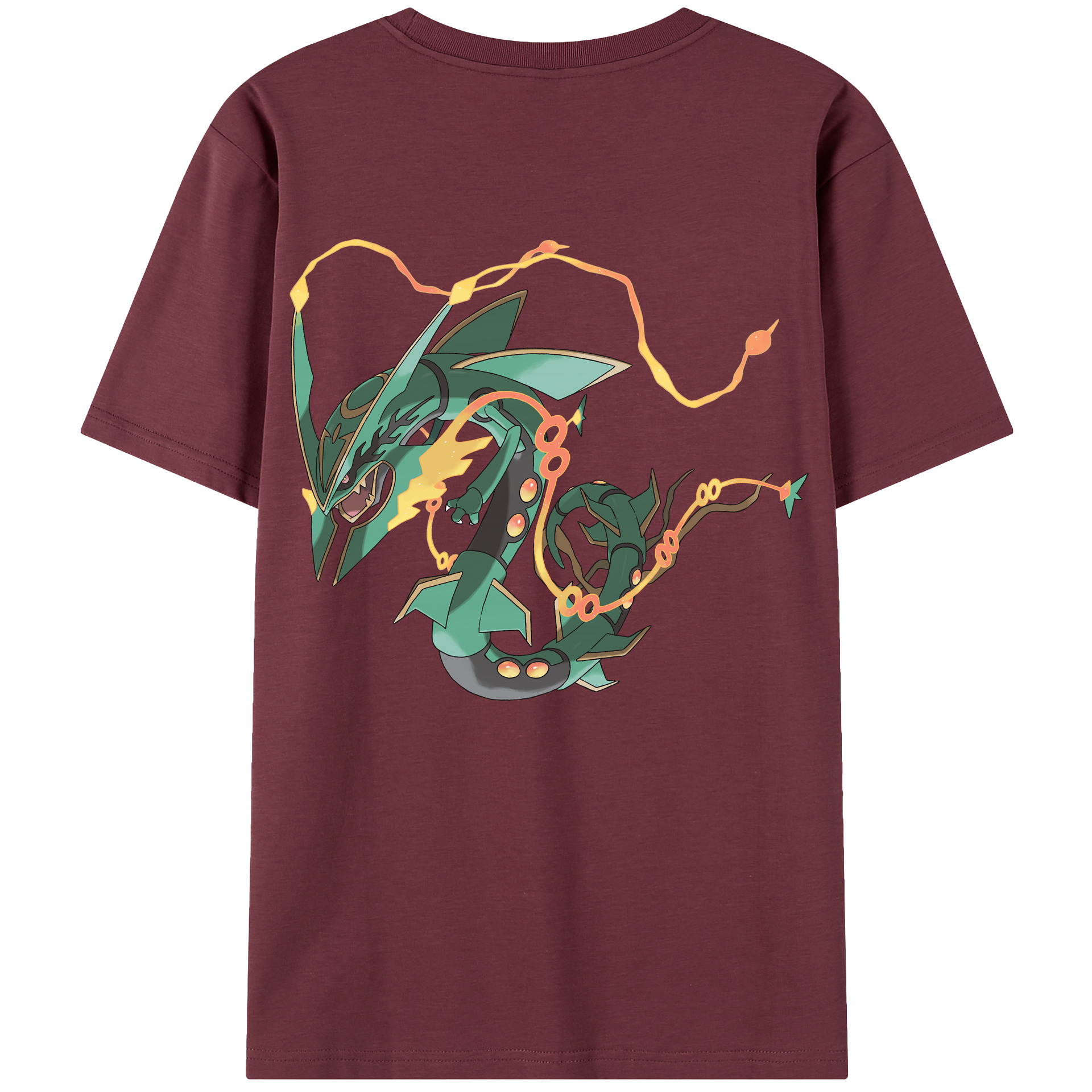 （画像用） ポケットモンスター Pokémon 綿100％半袖Tシャツ（背面プリント）